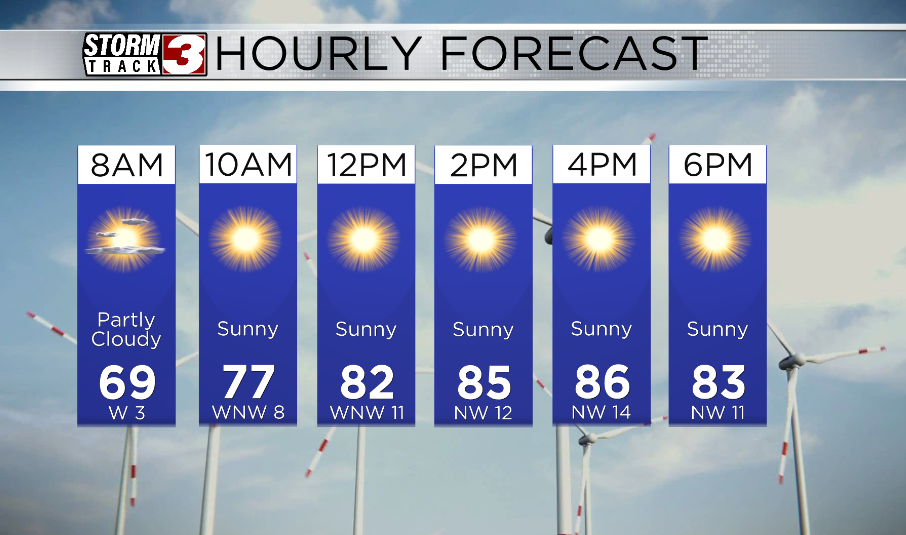 Hourly Forecast